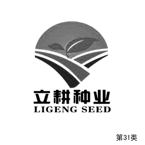 立耕種業及圖形第31類